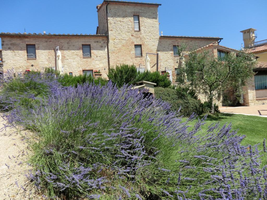Penzion La Pieve Di San Martino Colle Val D'Elsa Exteriér fotografie